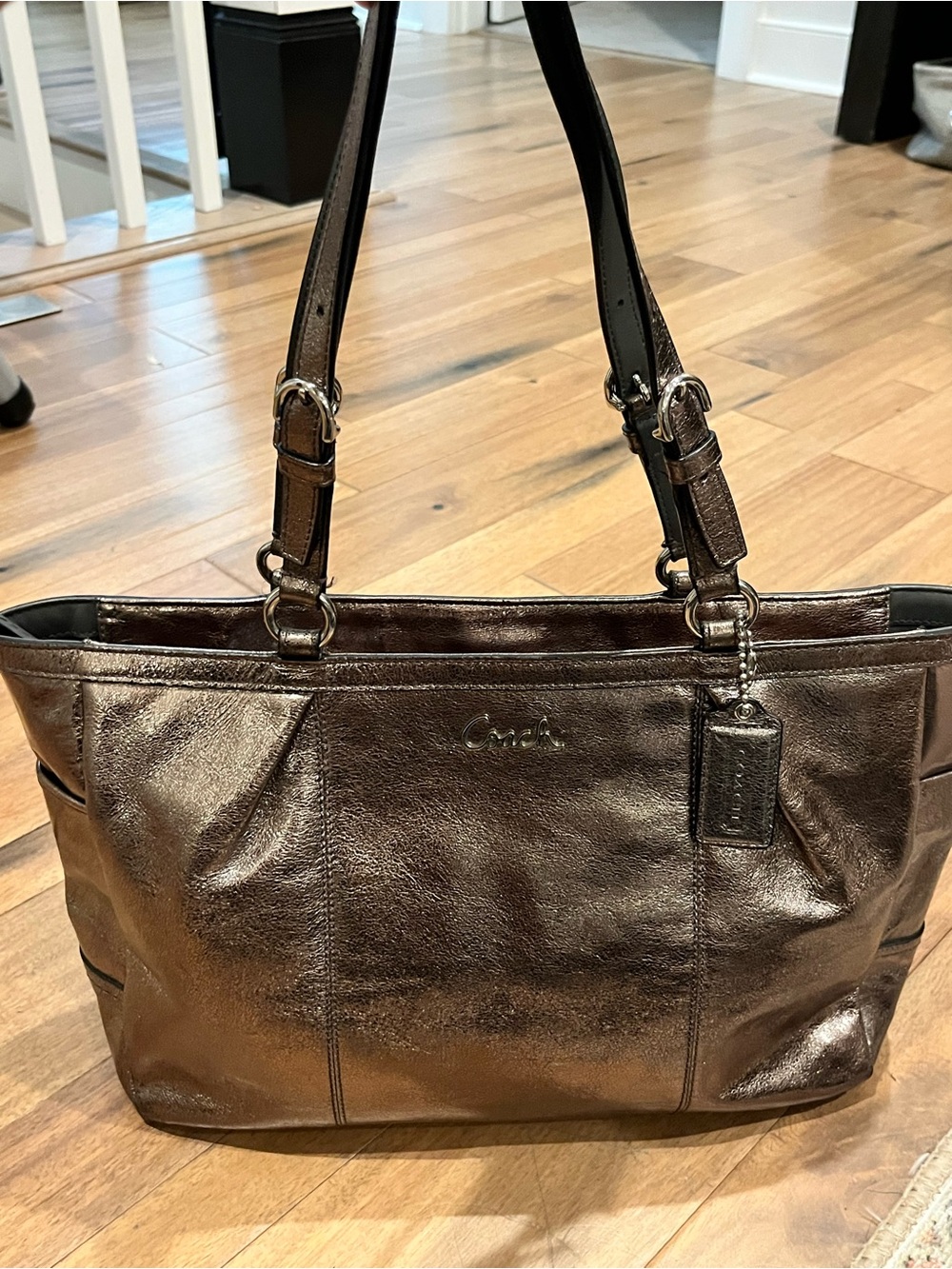 Coach Metallic Leather Shoulder Bag